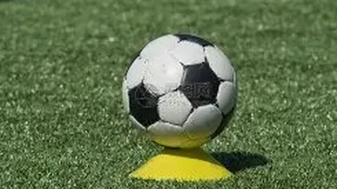 樊振东再登男子世界杯之巅，三度荣膺男乒世界杯冠军殊荣