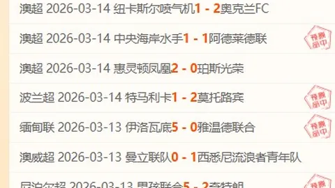 3月30日NBA：湖人迎战灰熊 小皮蓬经典瞬间回顾